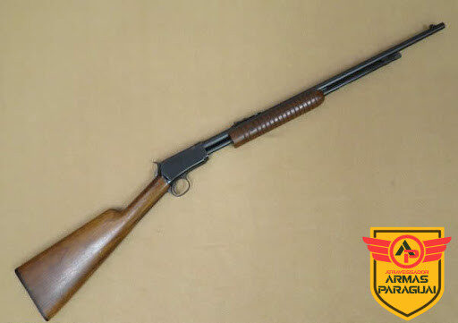 Winchester 22
